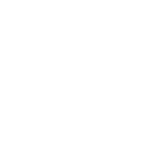 Descarada Online Shop